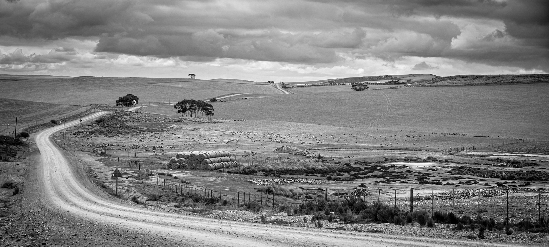 ©McNairnPhotography