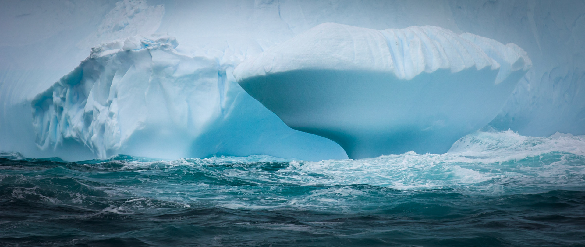 ©McNairnPhotography