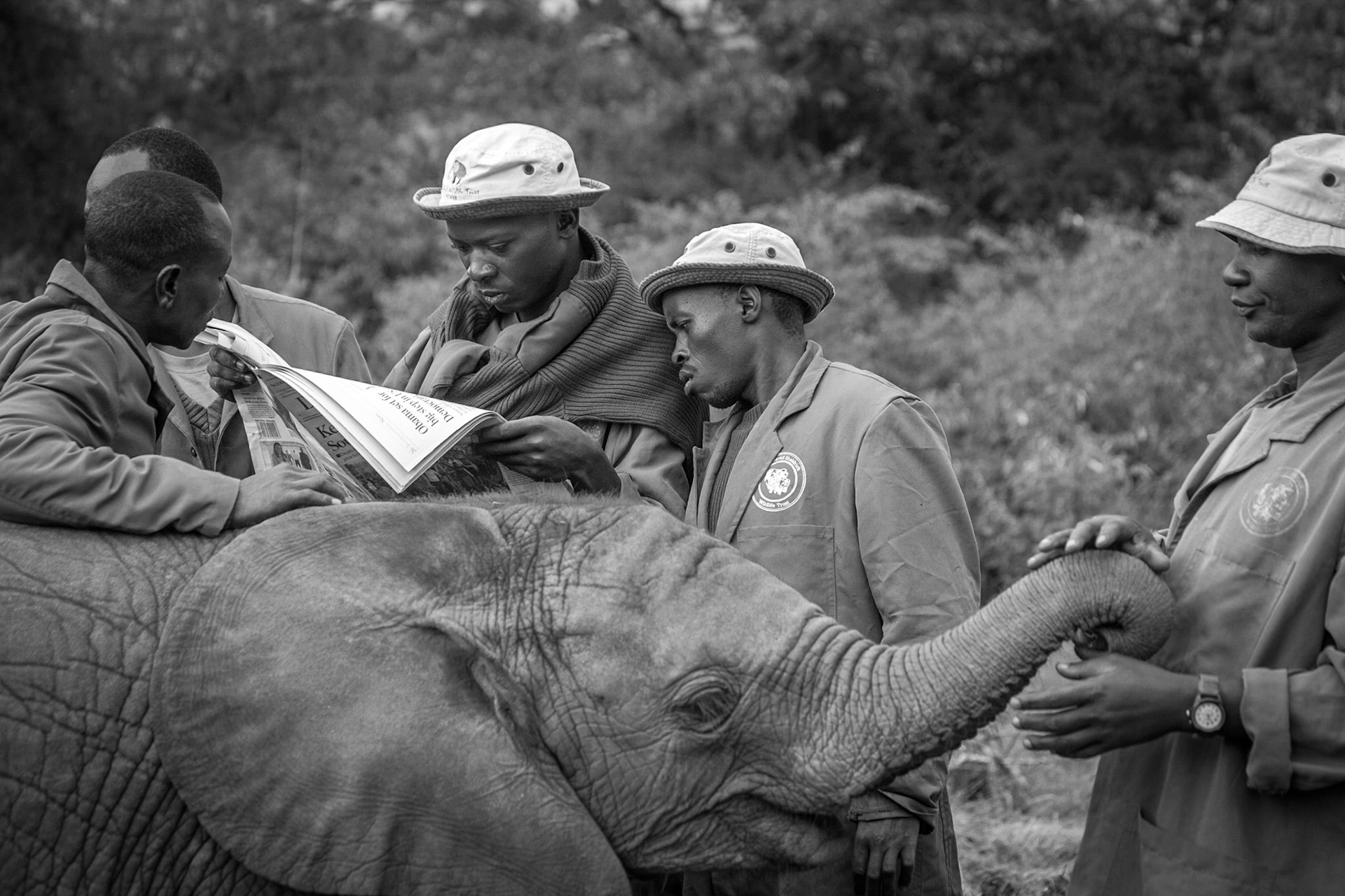 Sheldrick Wildlife Trust, Nairobi ©McNairnPhotography