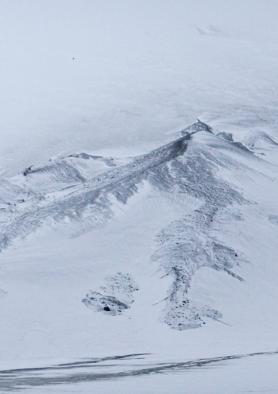 ©McNairnPhotography