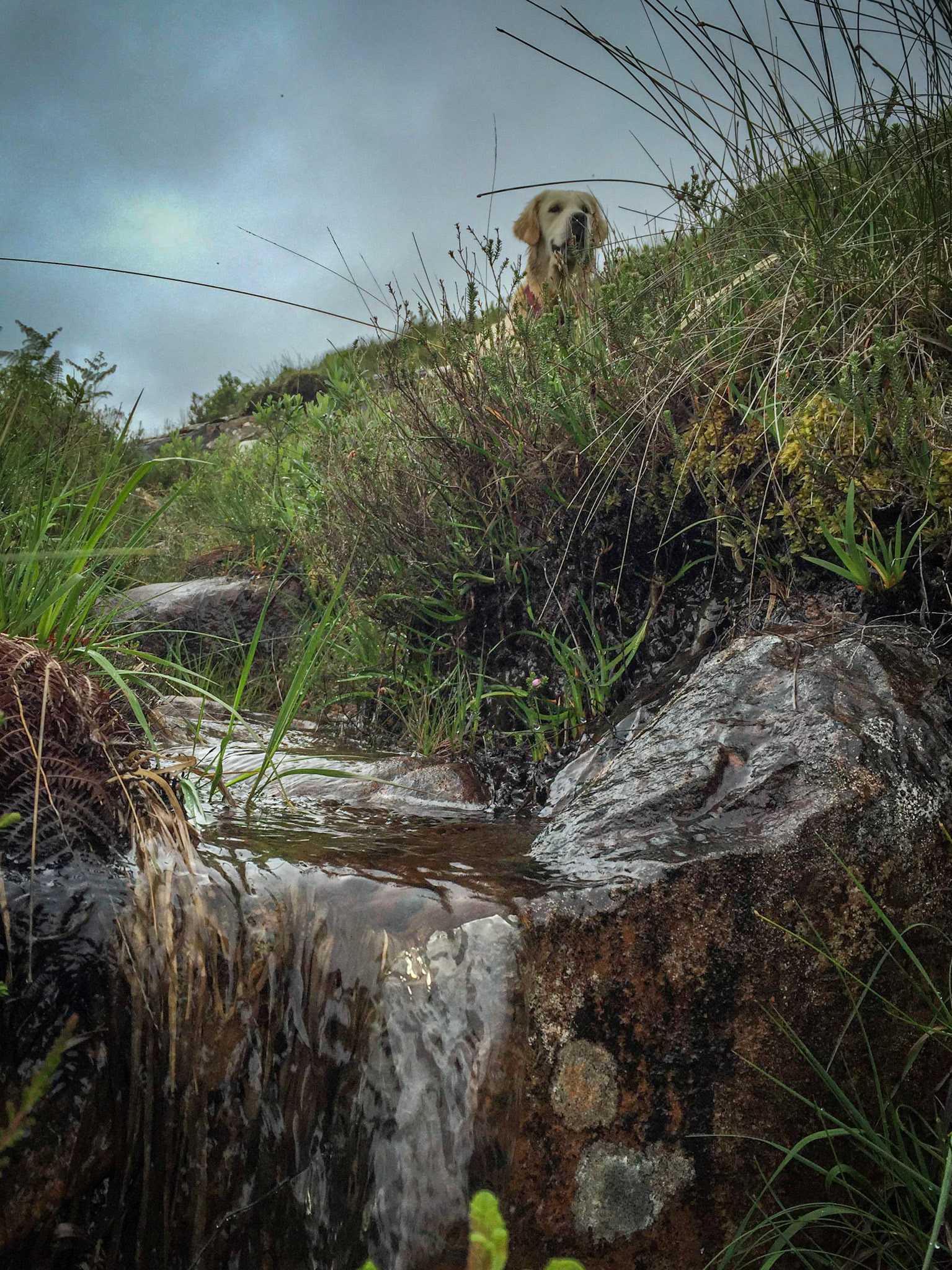 Scottish Highlands ©McNairnPhotography