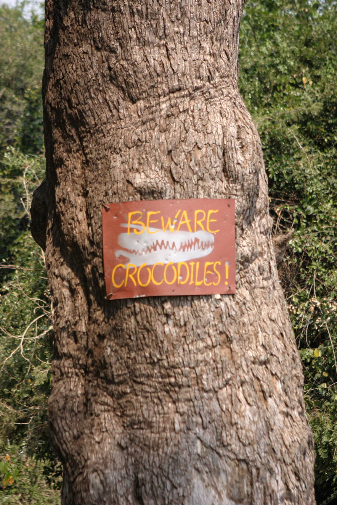 ©McNairnPhotography