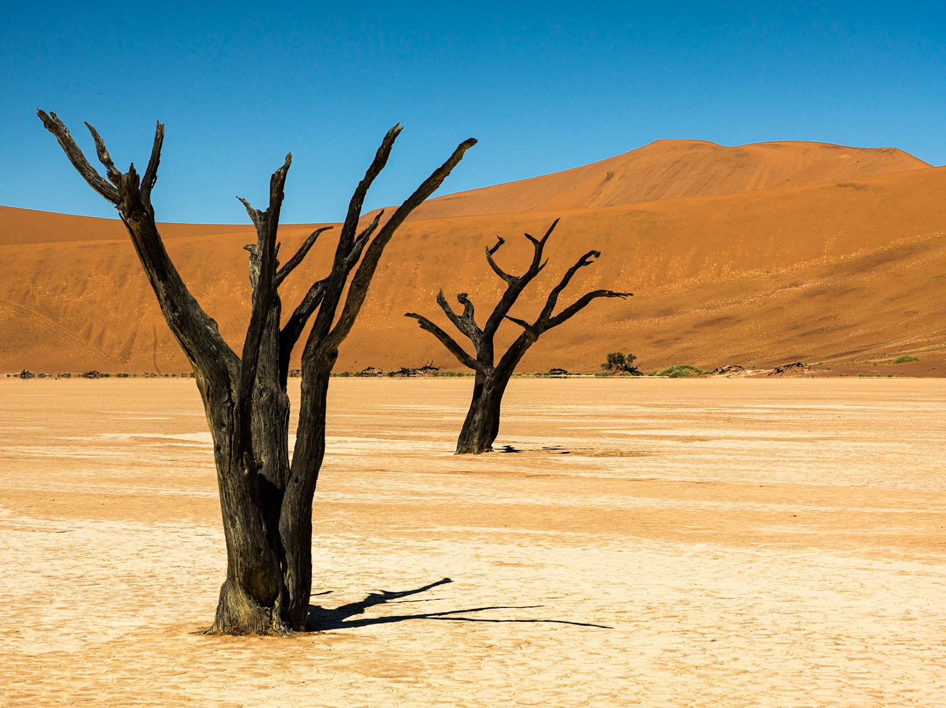 Sossus Vlei, Namibia ©McNairnPhotography