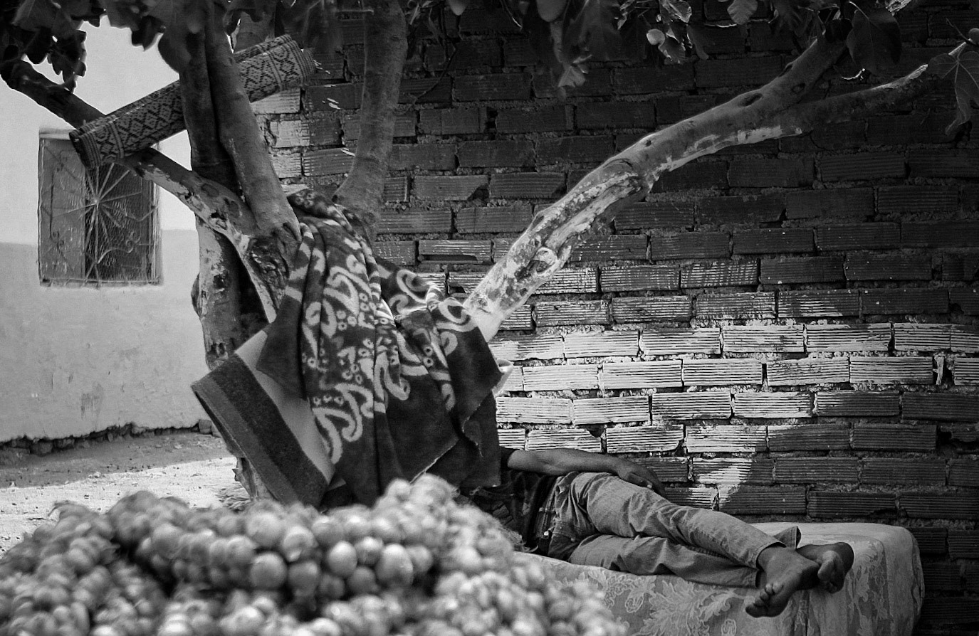 Volubilis, Morocco ©McNairnPhotography