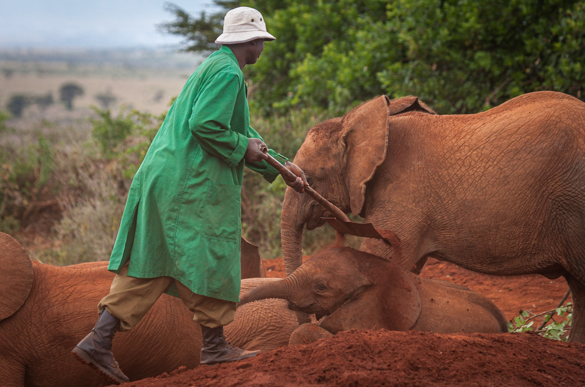 Sheldrick Wildlife Trust, Nairobi ©McNairnPhotography
