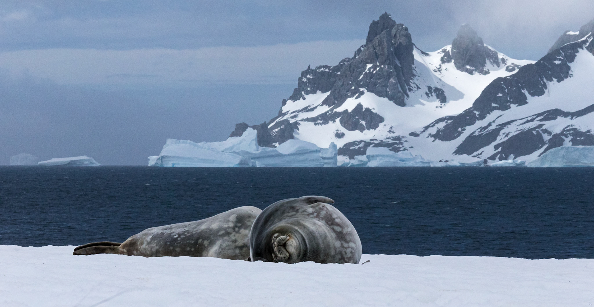 ©McNairnPhotography