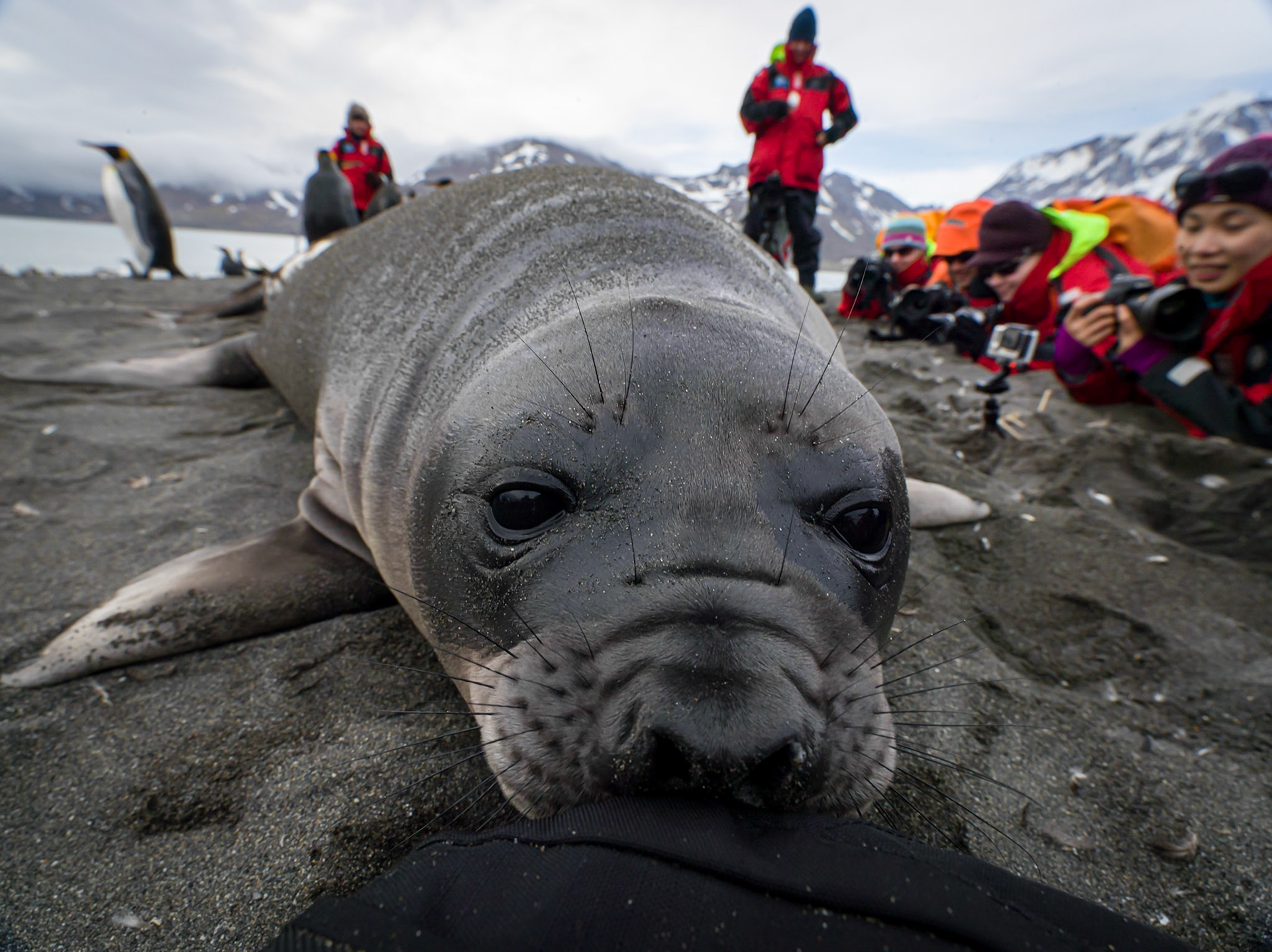 ©McNairnPhotography