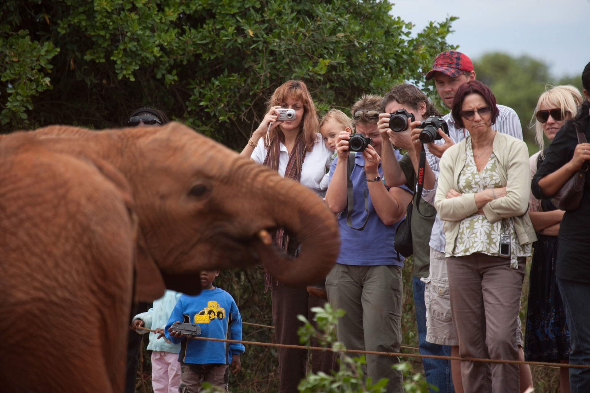 Visitors, Sheldrick Wildlife Trust, Nairobi ©McNairnPhotography