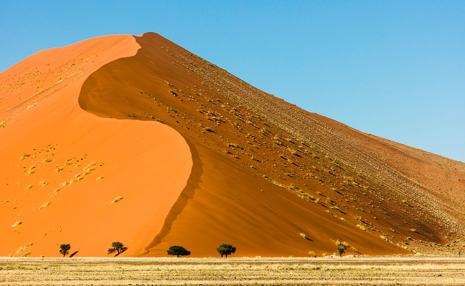 Sossus Vlei ©McNairnPhotography