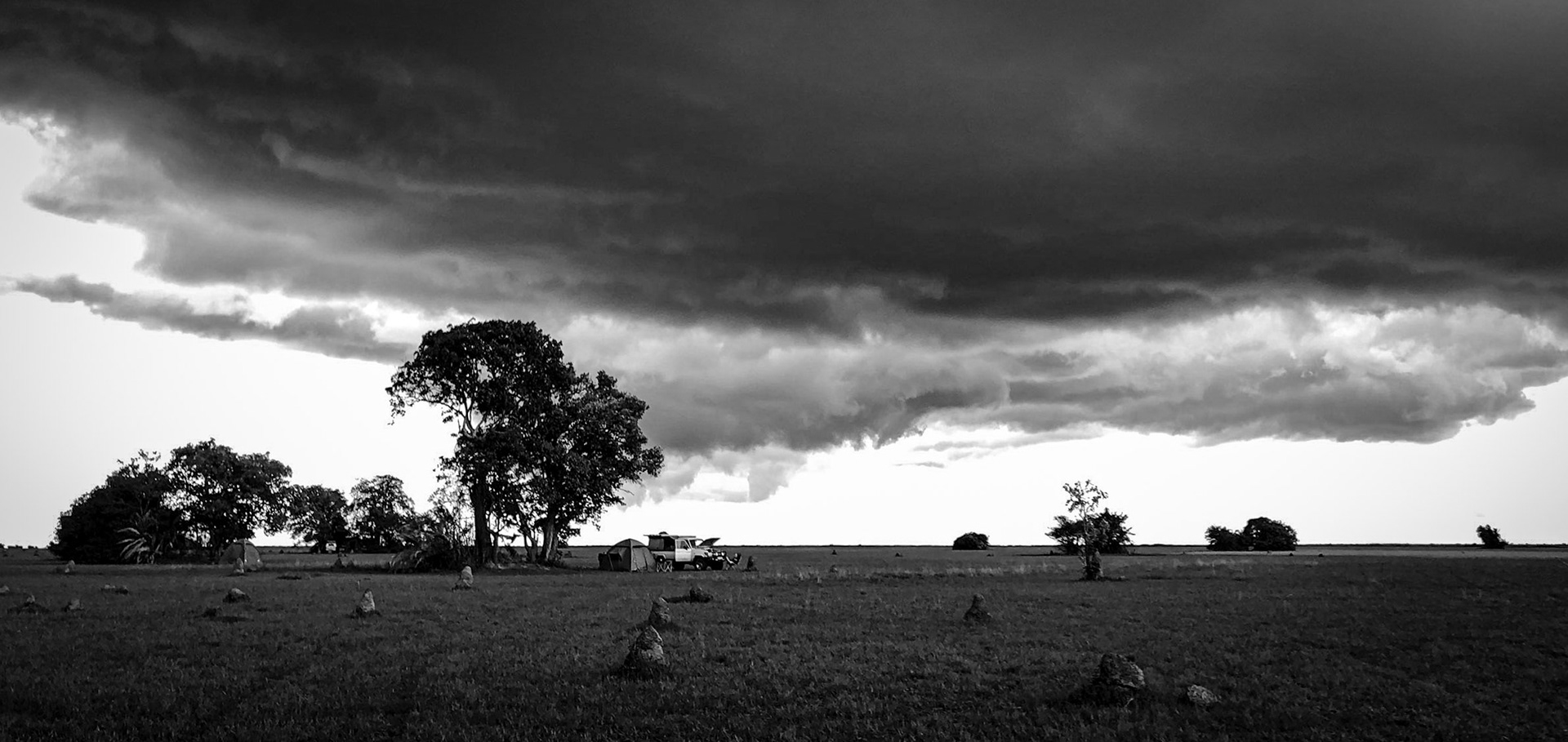 ©McNairnPhotography