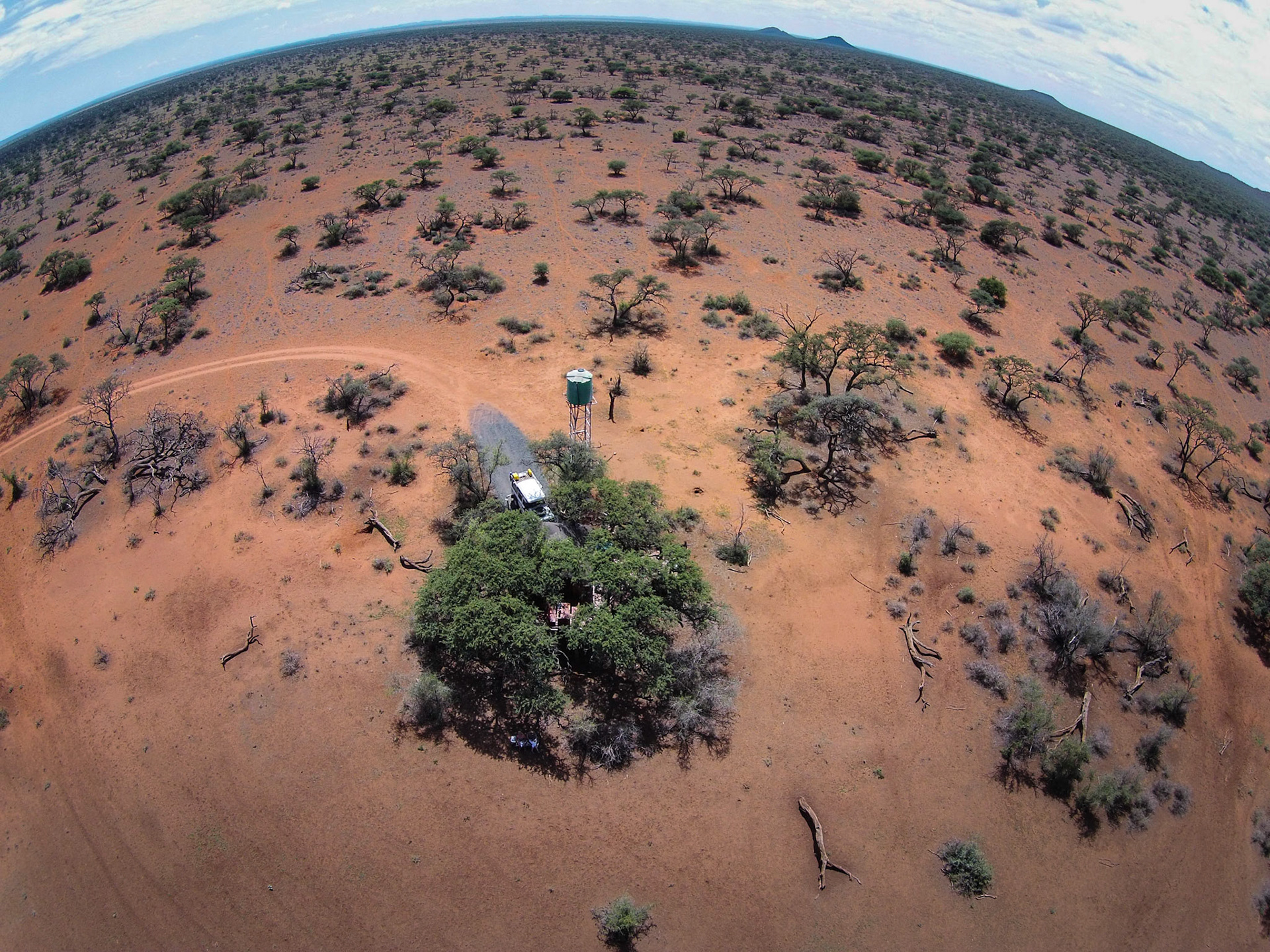 ©McNairnPhotography