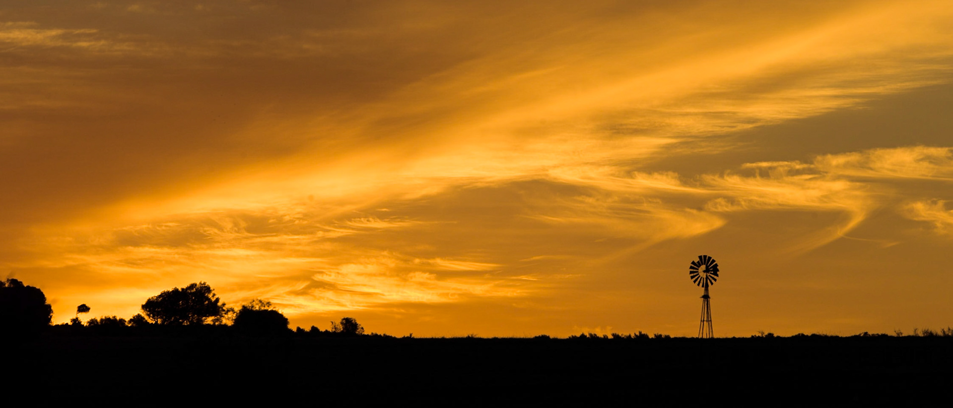 Western Cape, South Africa ©McNairnPhotography