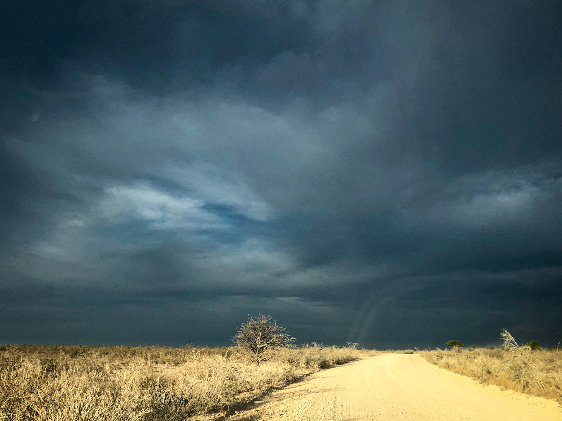 Etosha ©McNairnPhotography