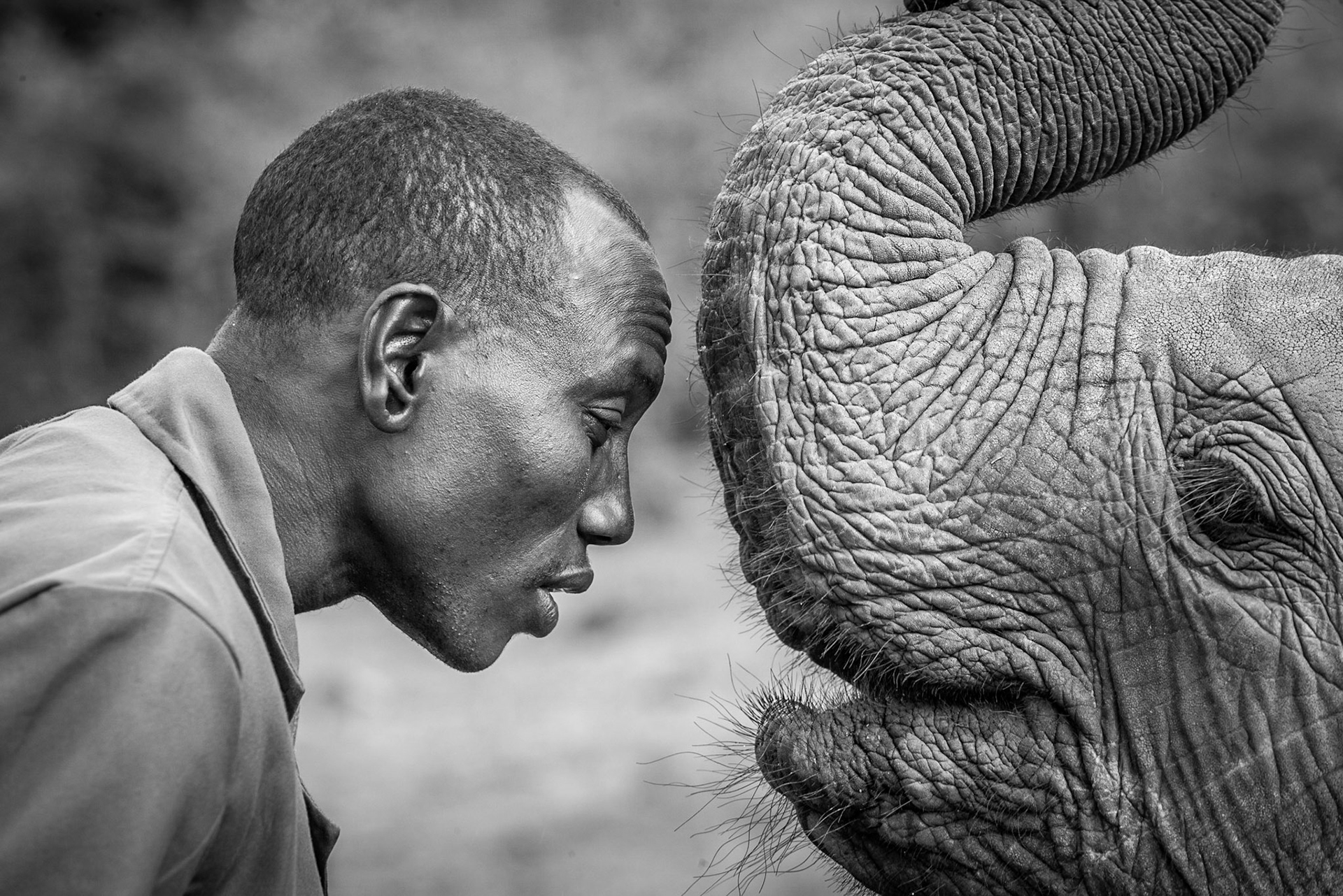 ©McNairnPhotography