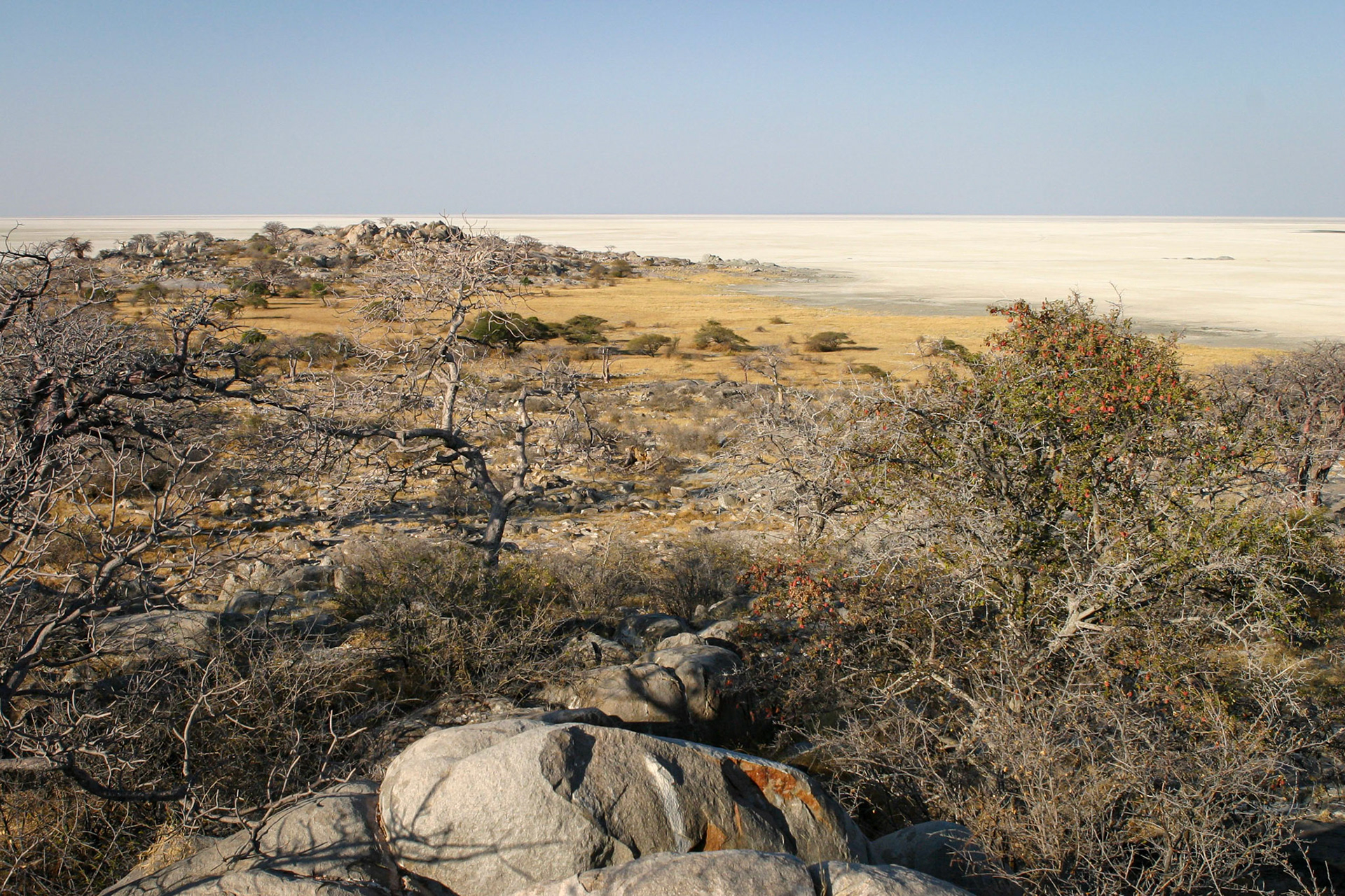 Botswana ©McNairnPhotography