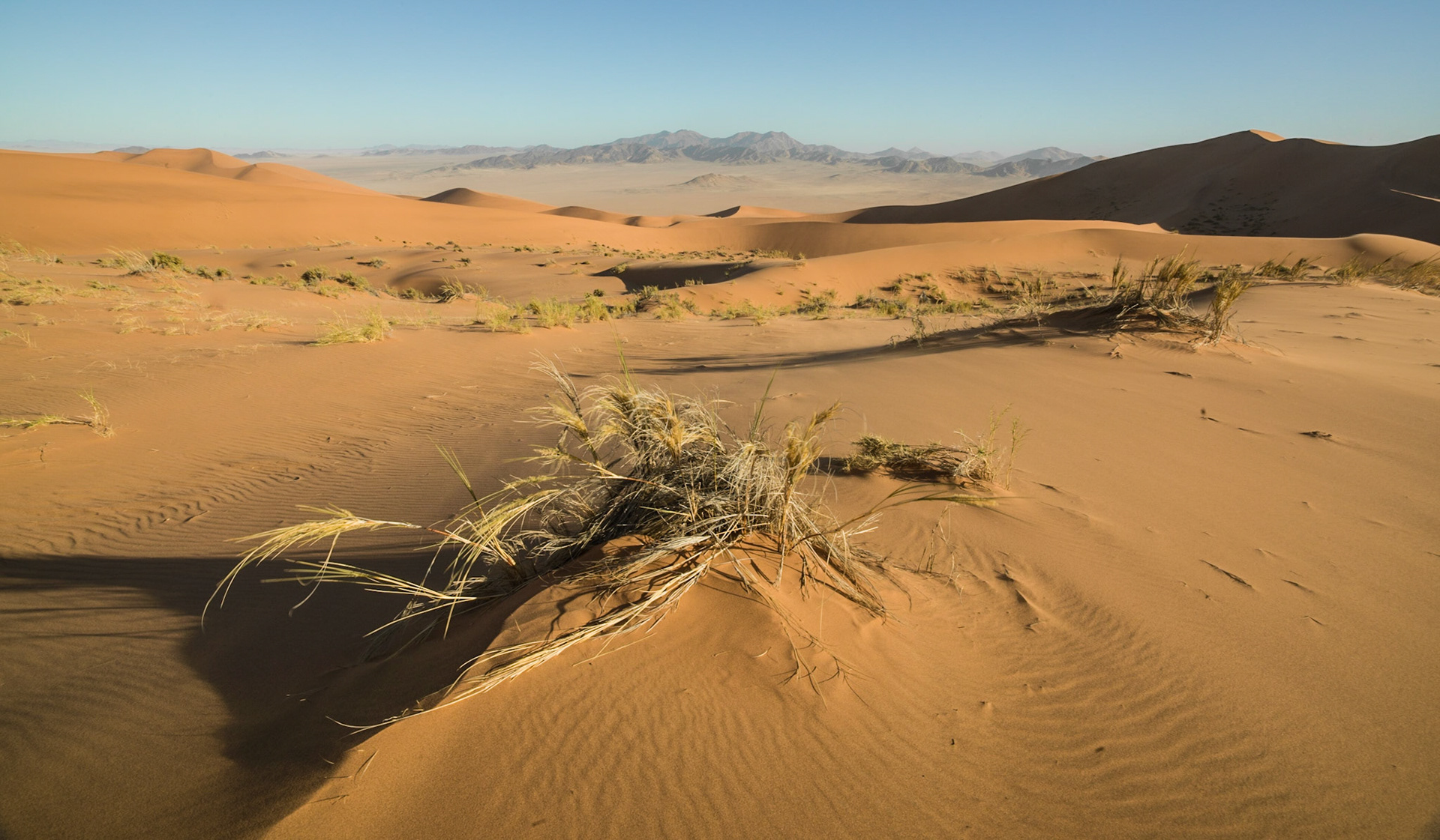 Namib Desert, Namibia ©McNairnPhotography