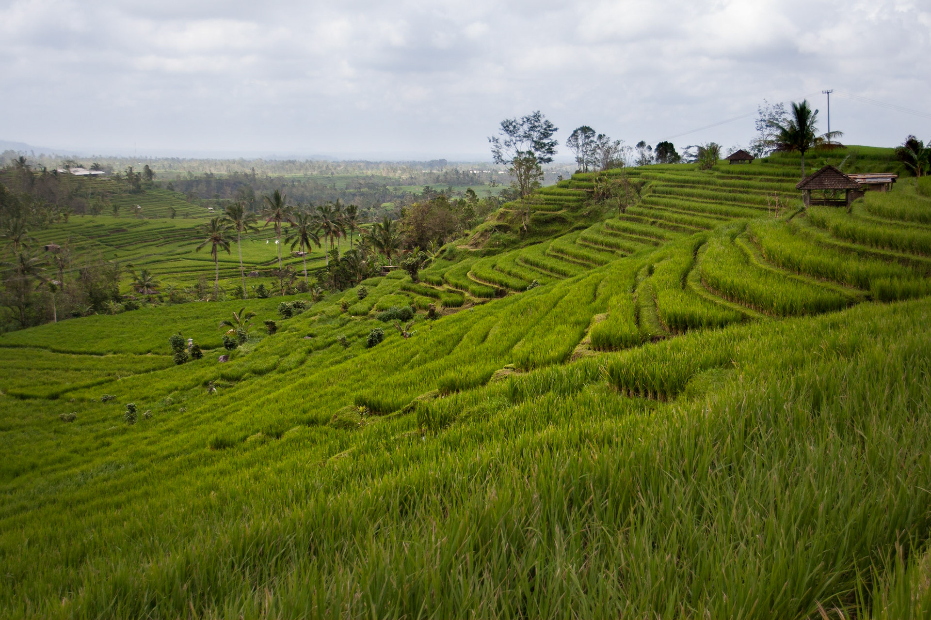 Bali ©McNairnPhotography