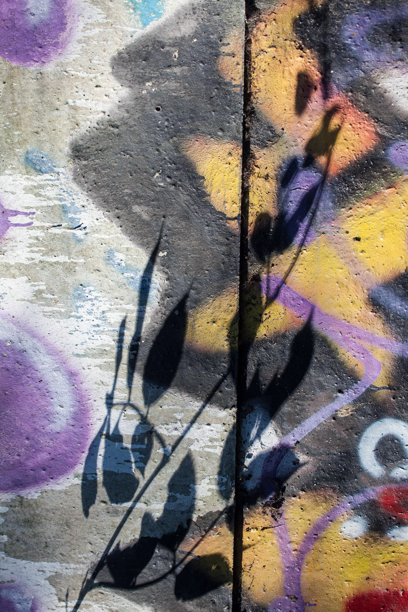 ©McNairnPhotography