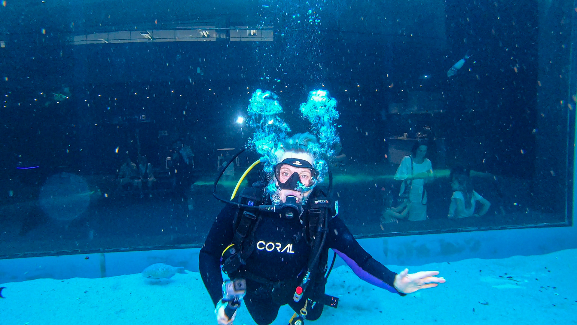 Two Oceans Aquarium ©McNairnPhotography