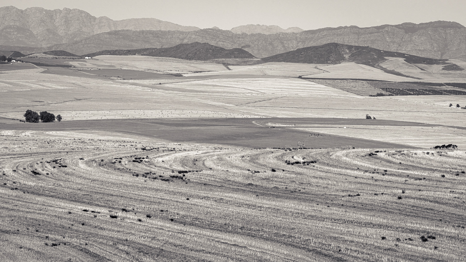 Western Cape, South Africa ©McNairnPhotography