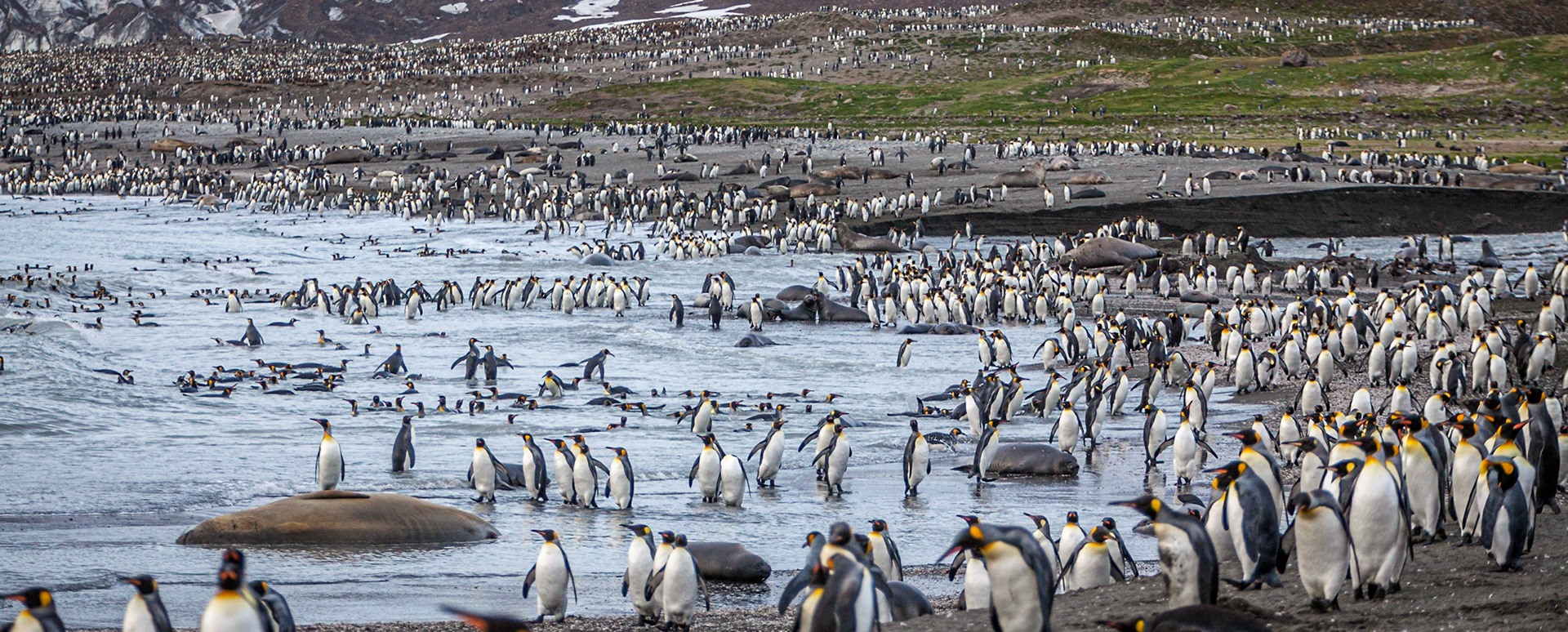 ©McNairnPhotography