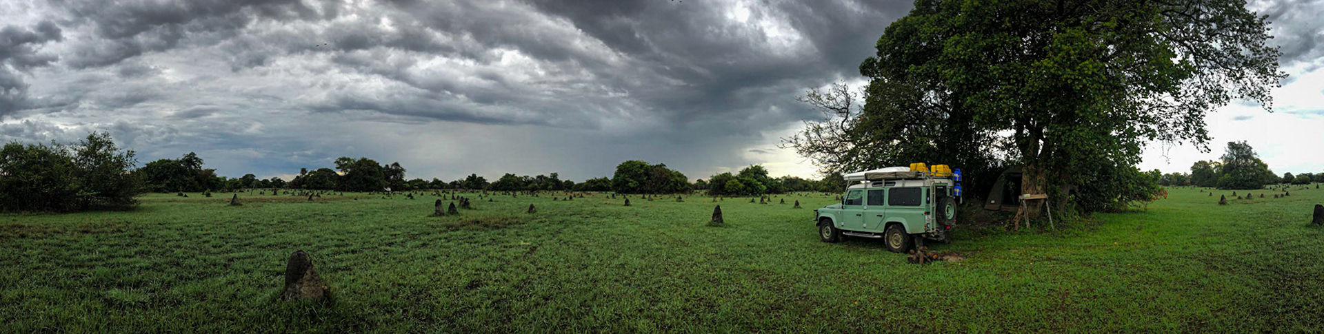 ©McNairnPhotography