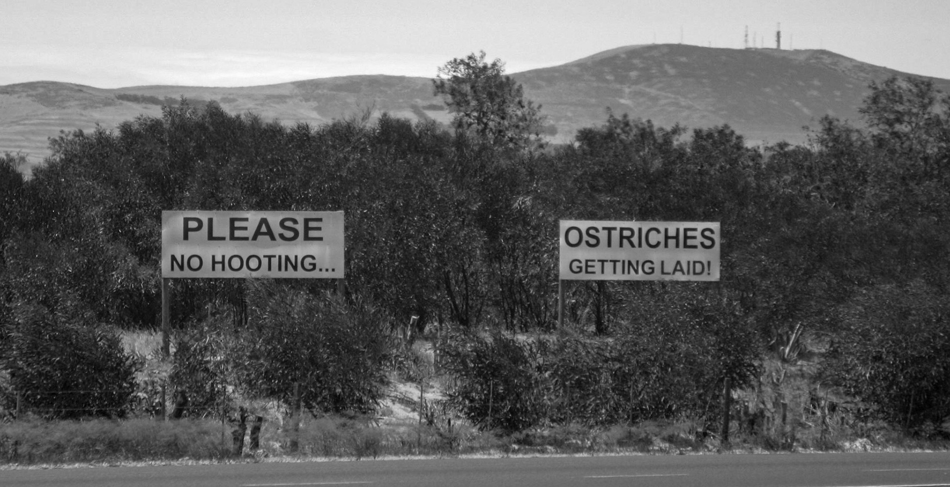 ©McNairnPhotography