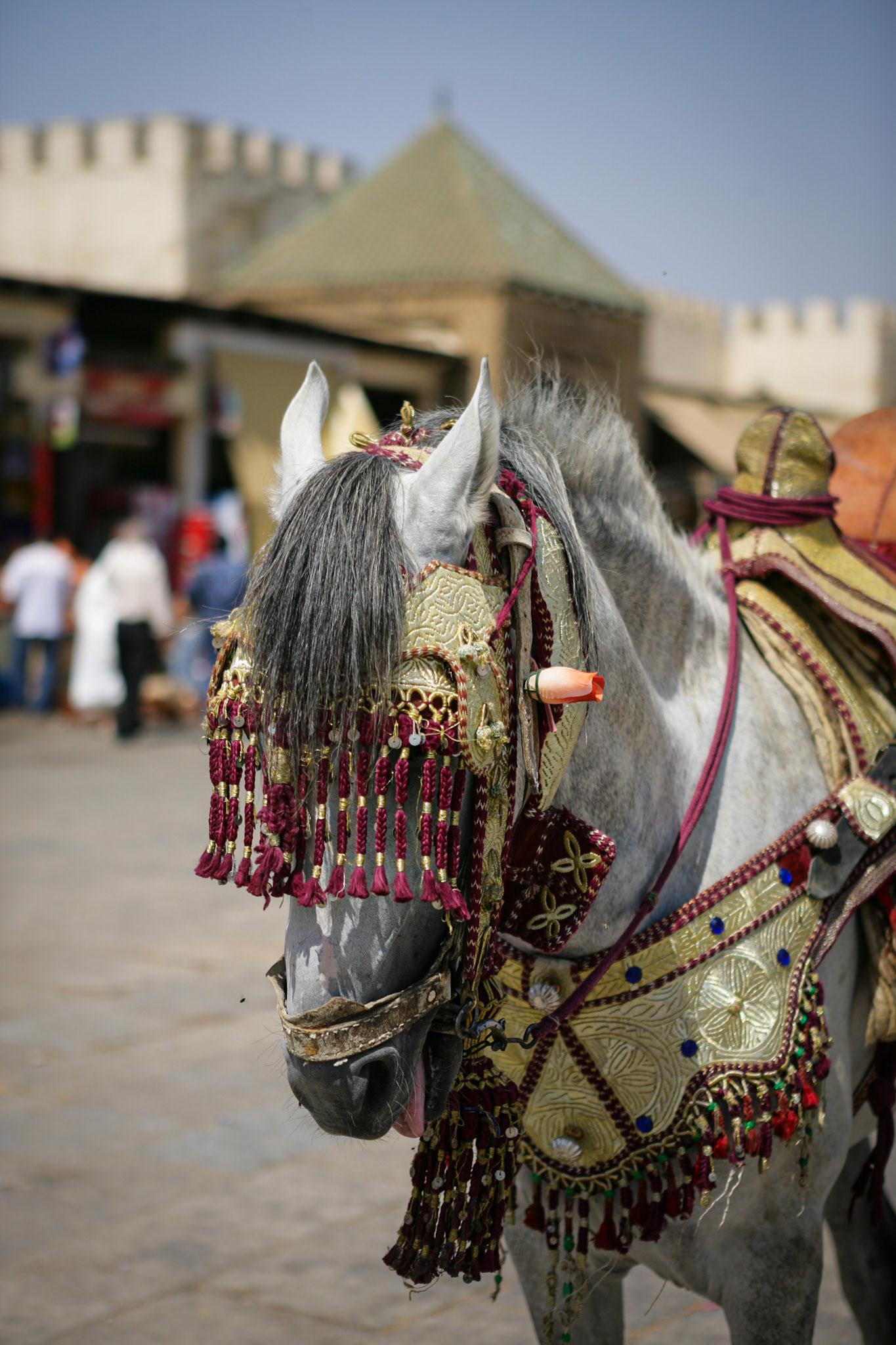 Meknes, Morocco ©McNairnPhotography