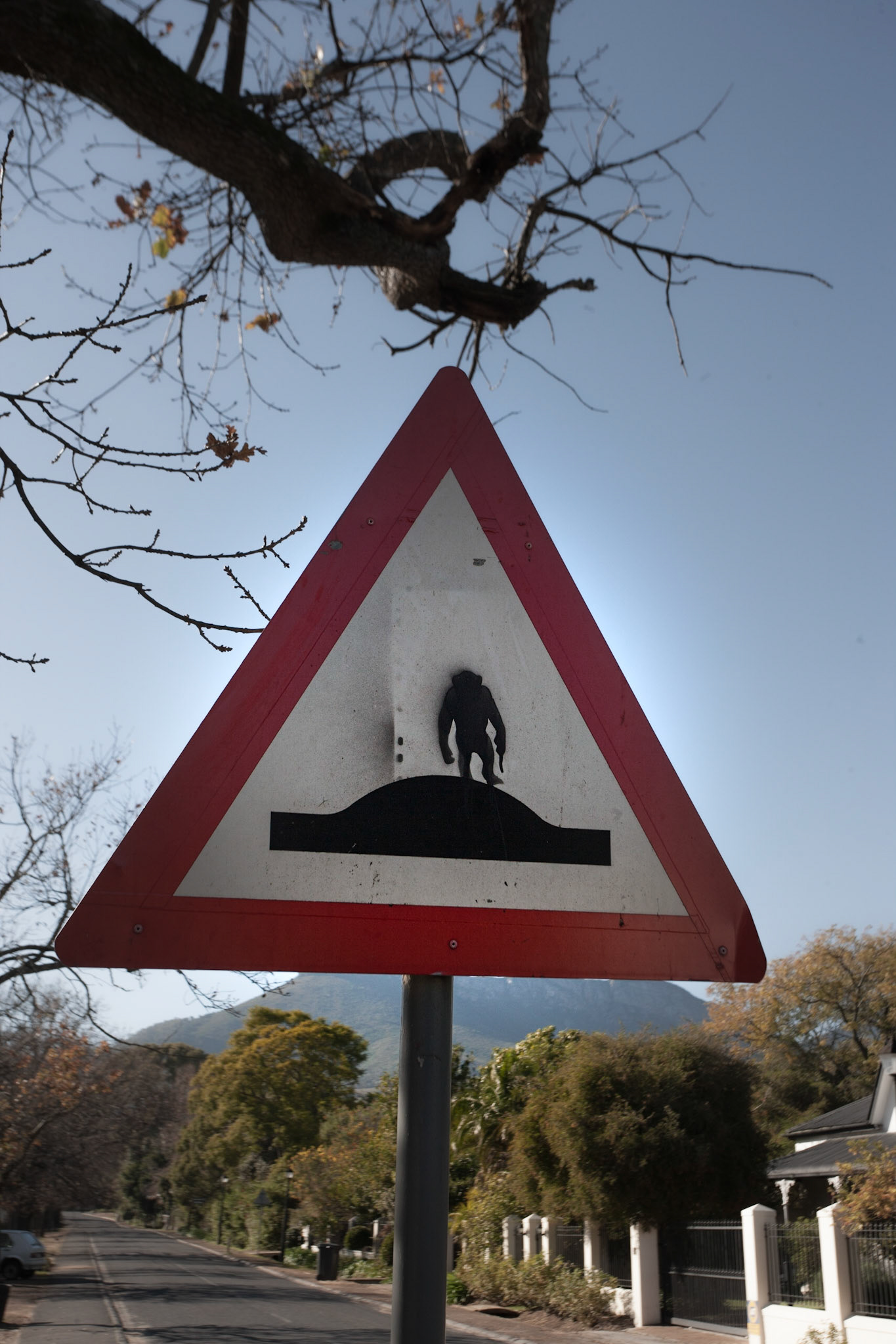 ©McNairnPhotography