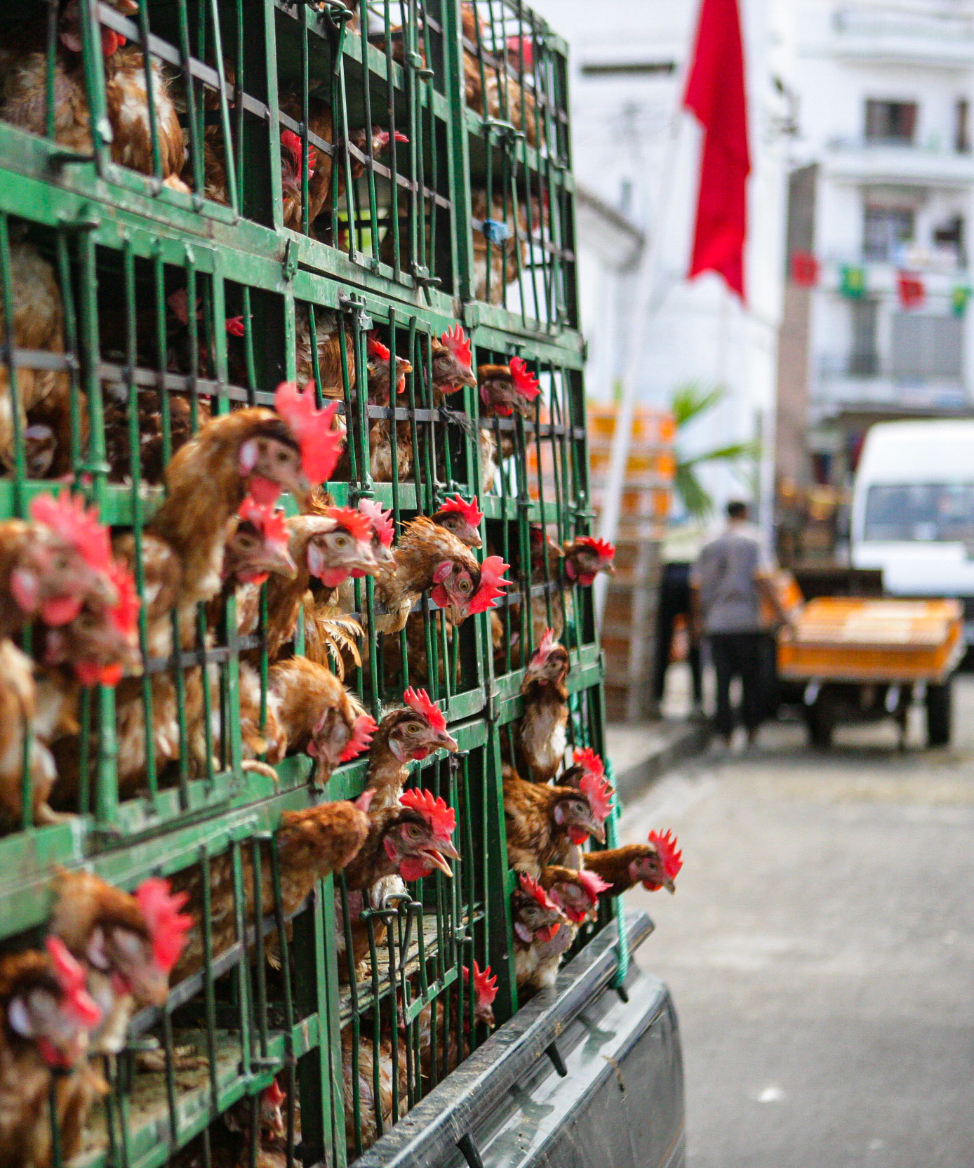 Tetouan, Morocco ©McNairnPhotography