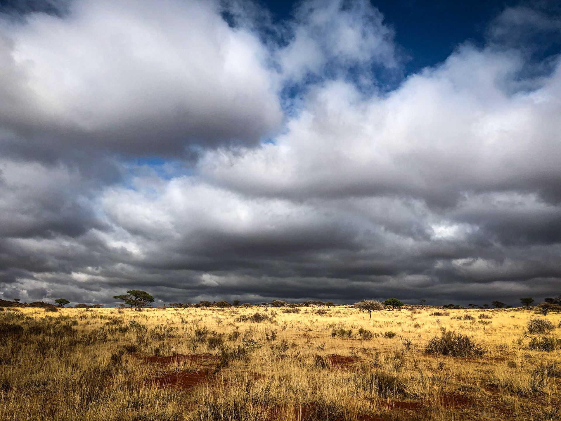 ©McNairnPhotography