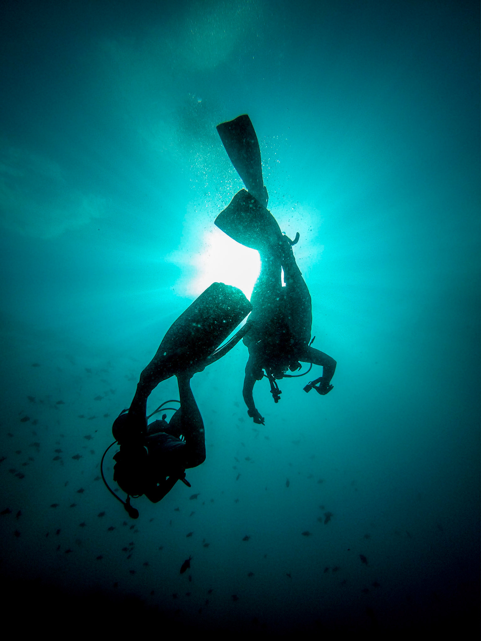 ©McNairnPhotography