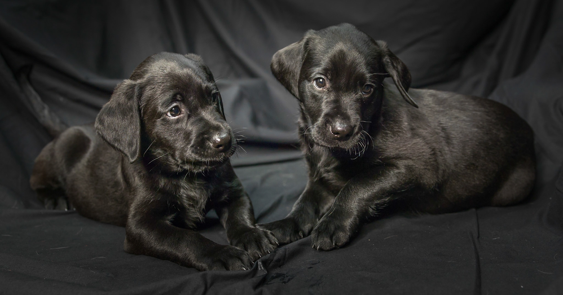 ©McNairnPhotography