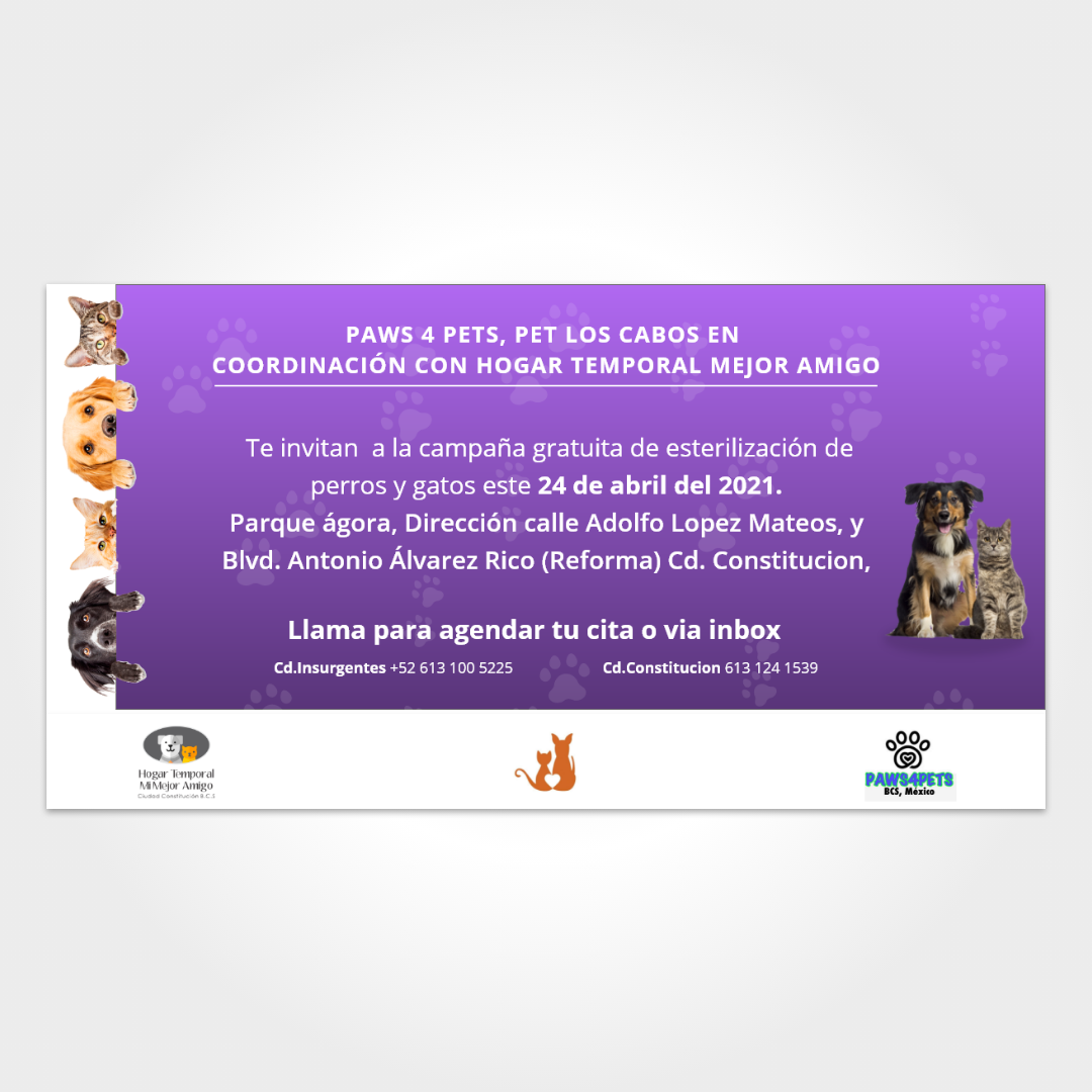Cartel para evento