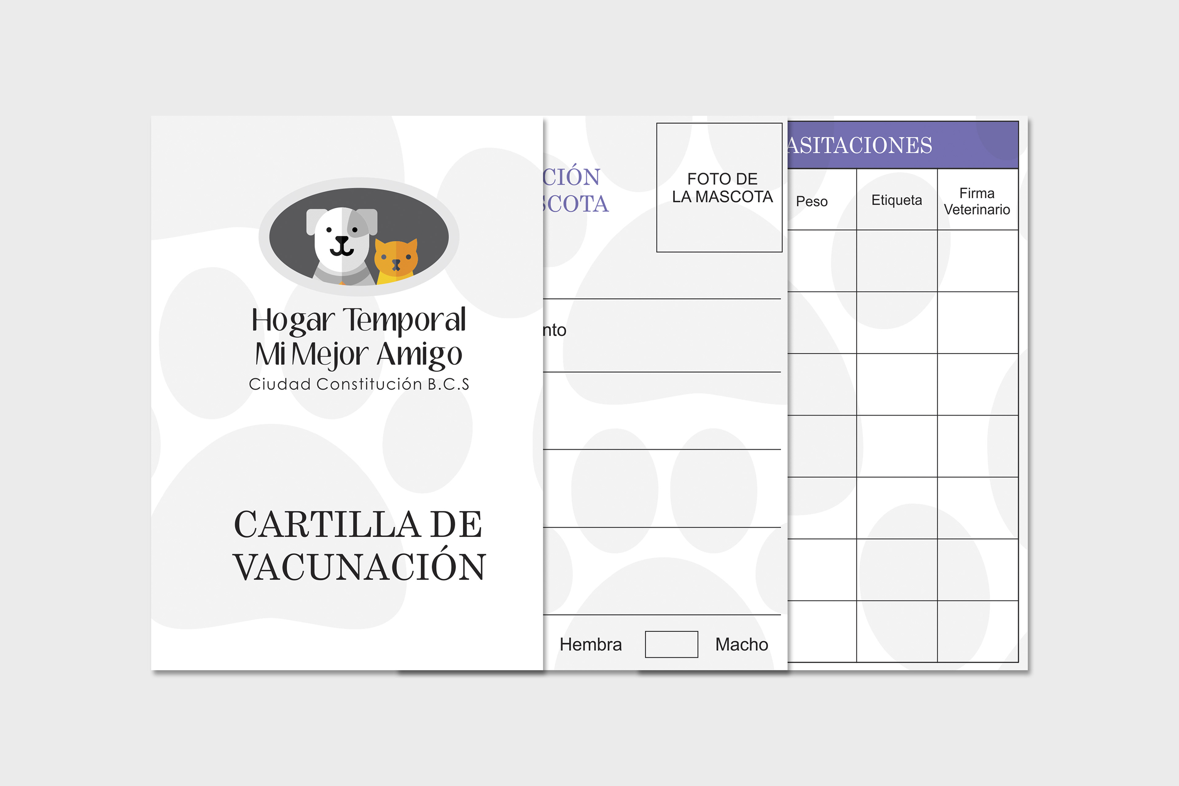 Carnet de vacunación