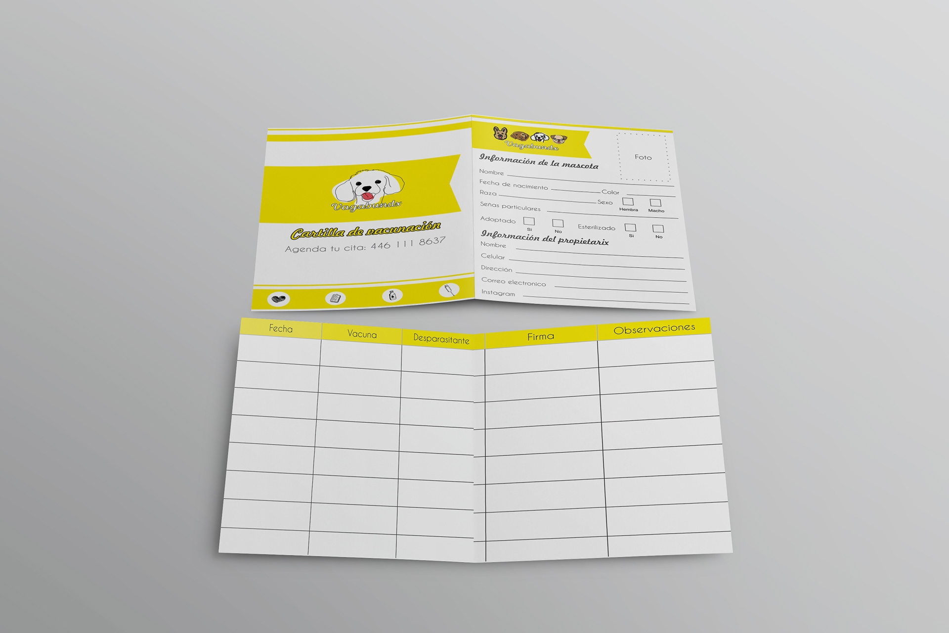 Carnet de vacunación