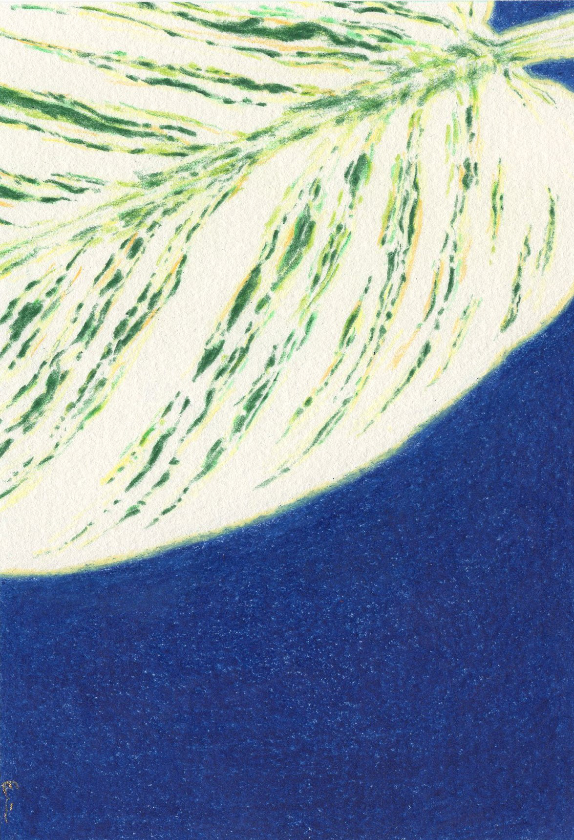 2021　147mm×100mm　colored pencil, paper