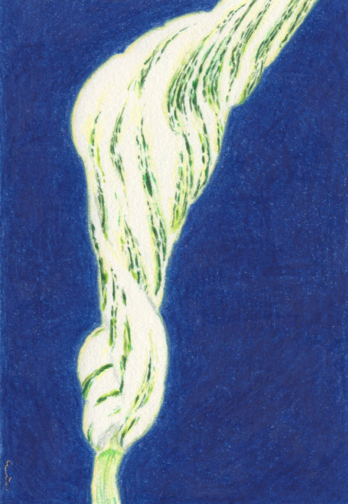 2021　147mm×100mm　colored pencil, paper