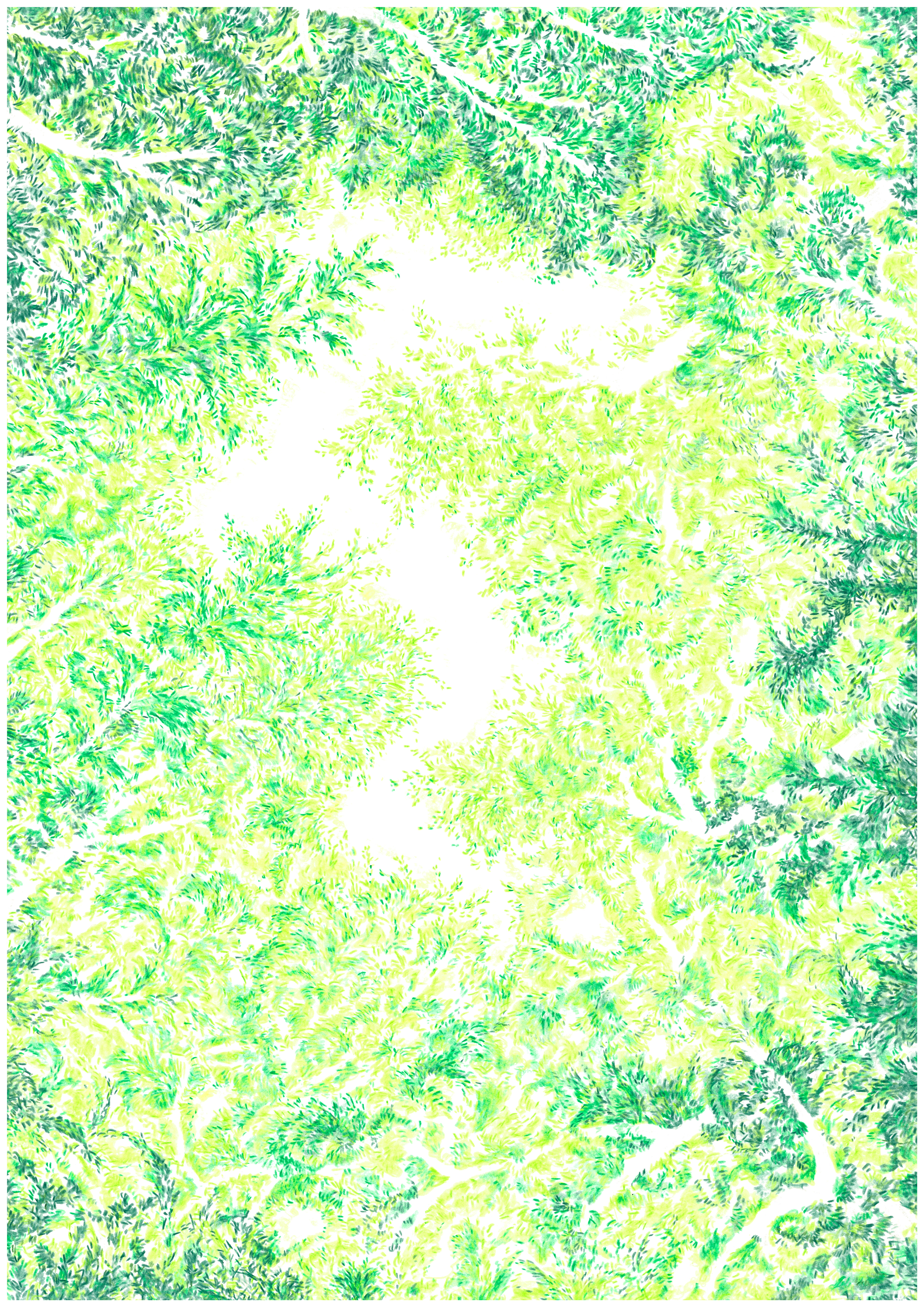 2022　colored pencil, paper