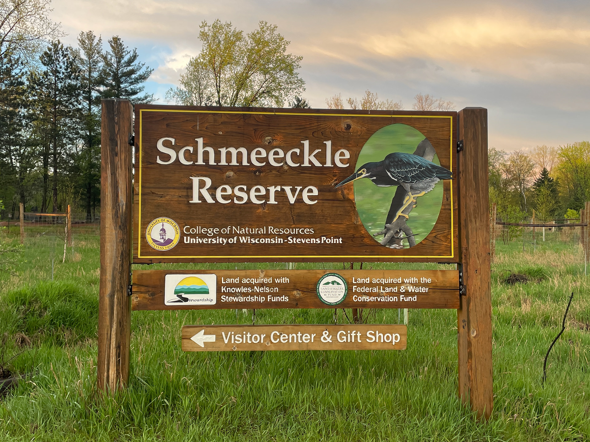 Acrylic - 20"x30" - 2022