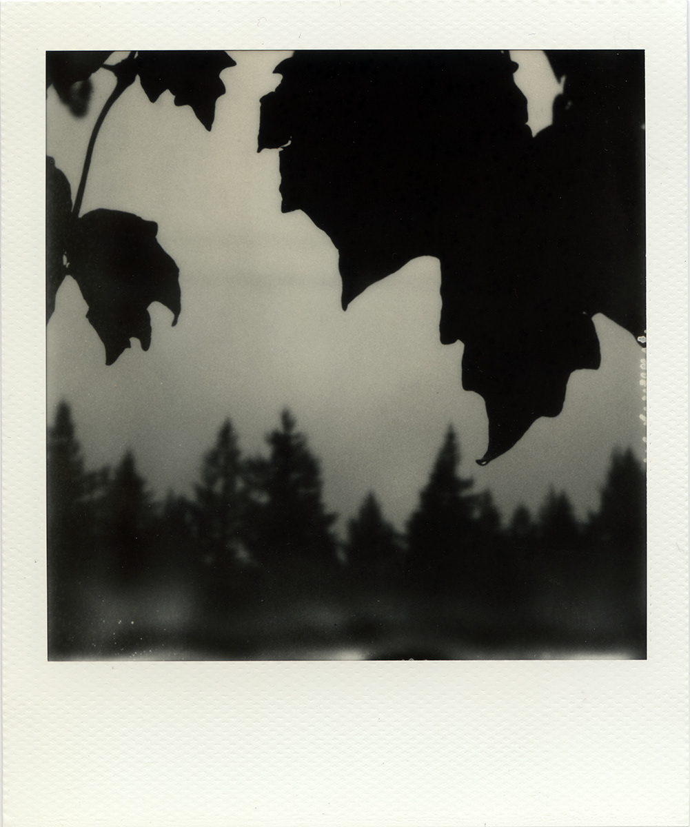 Divine Escape II, no. 4