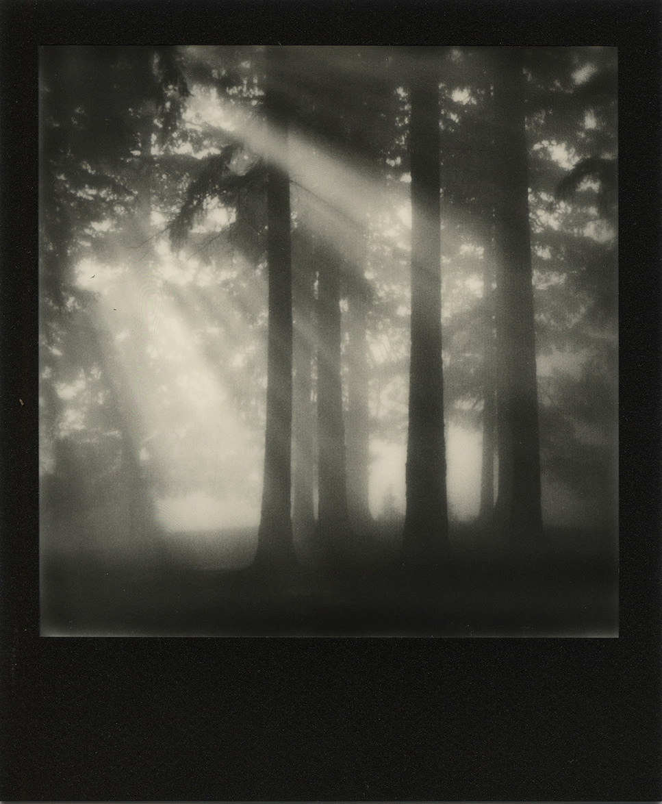 Divine Escape no.1