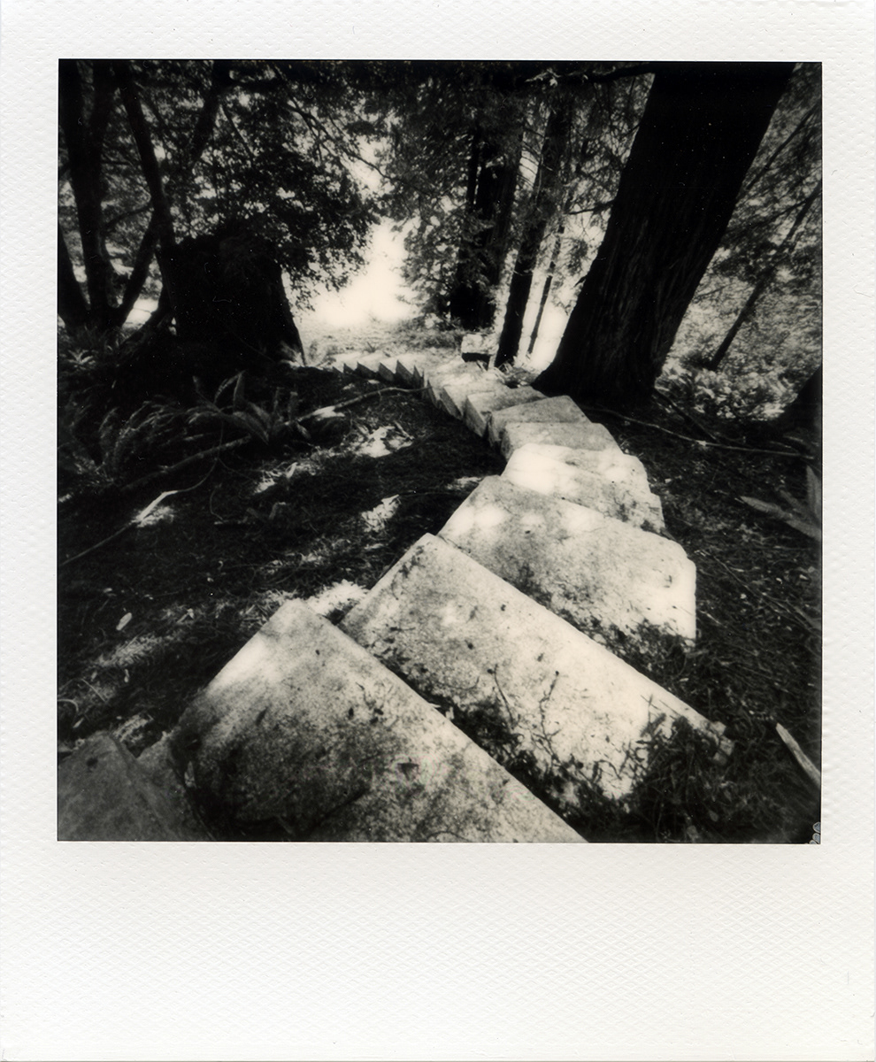 Divine Escape II, no. 3