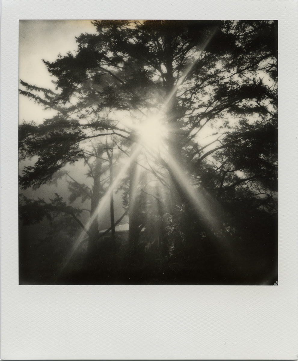 Divine Escape II, no. 1