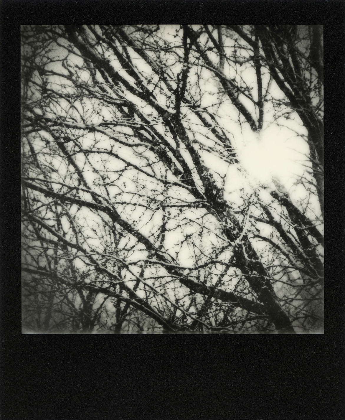Divine Escape no.12