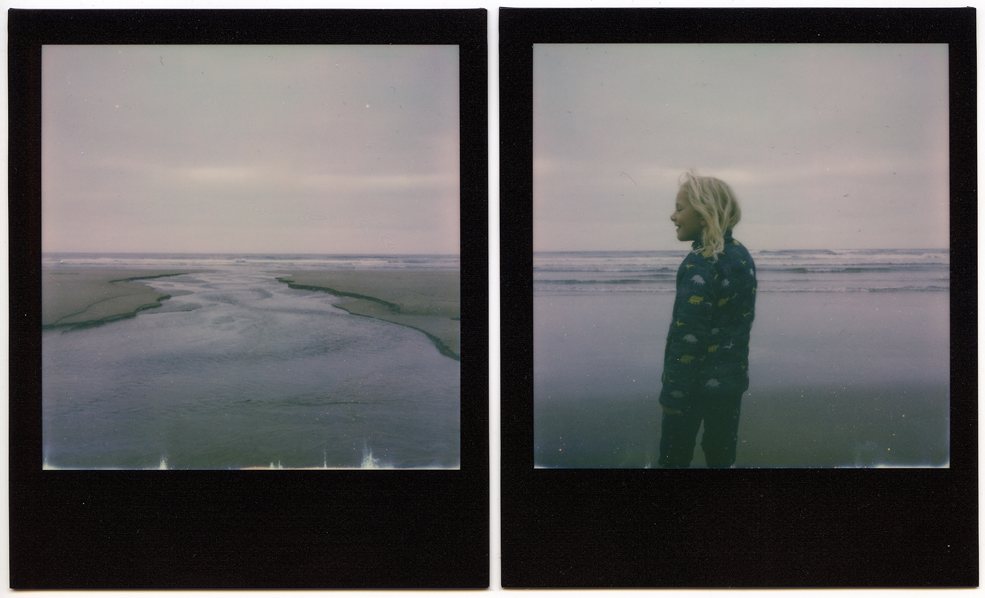 Ruby on the Oregon coast 2021