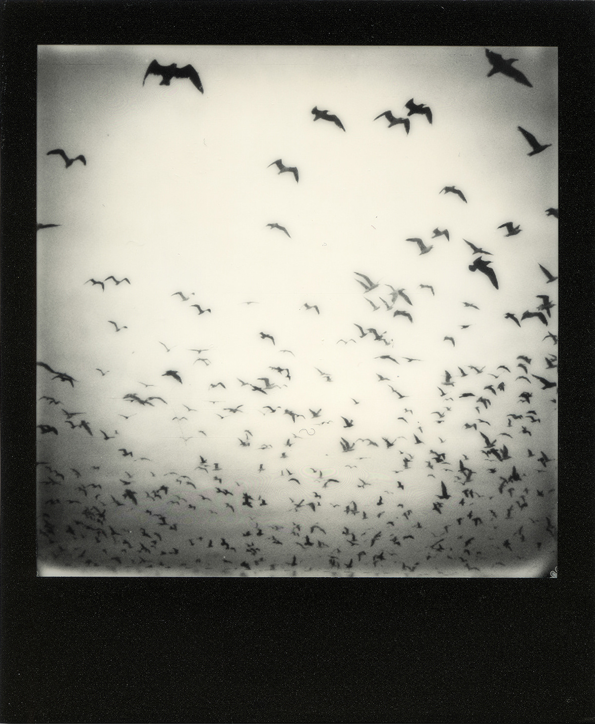 Divine Escape no.4