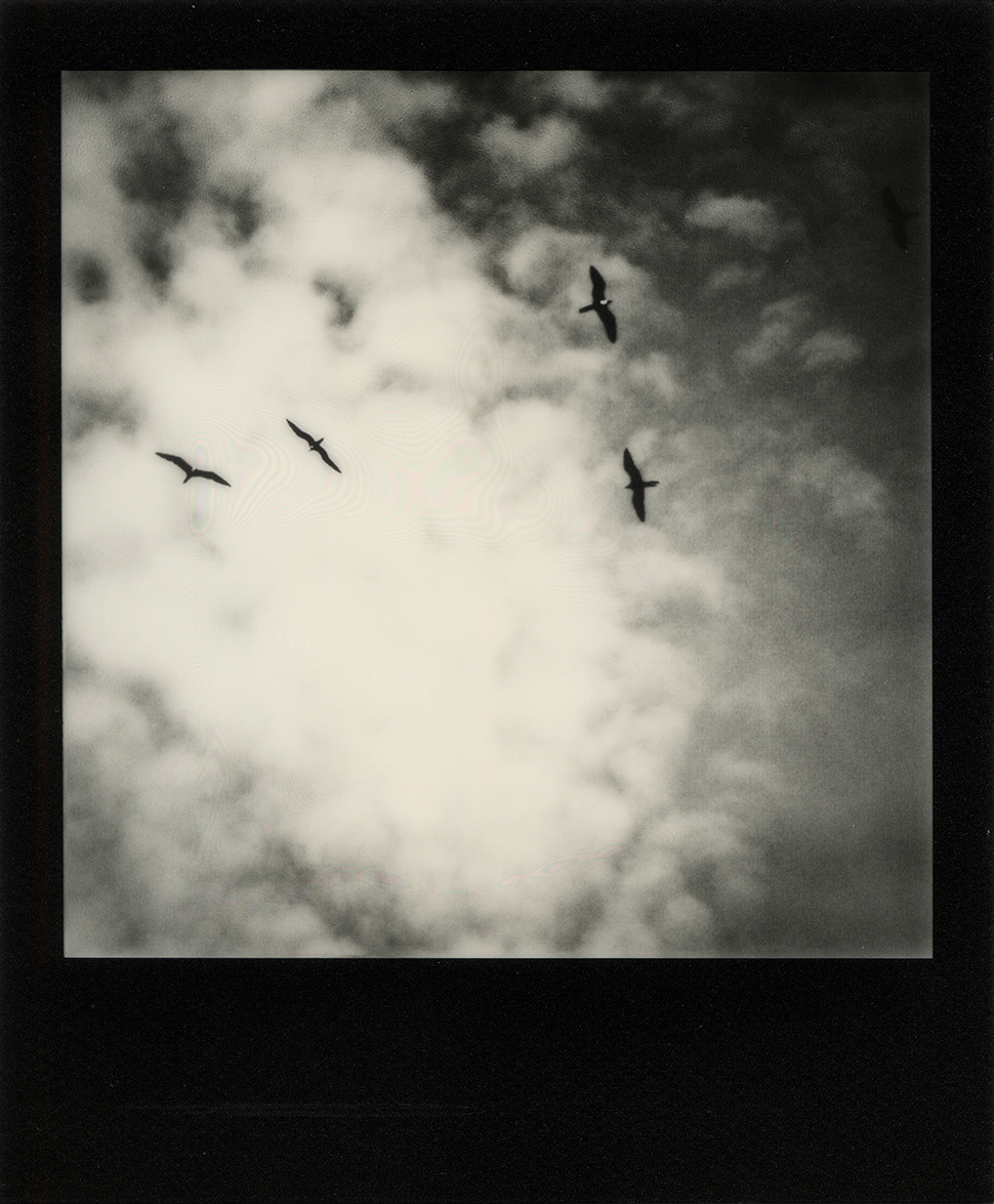Divine Escape no.15