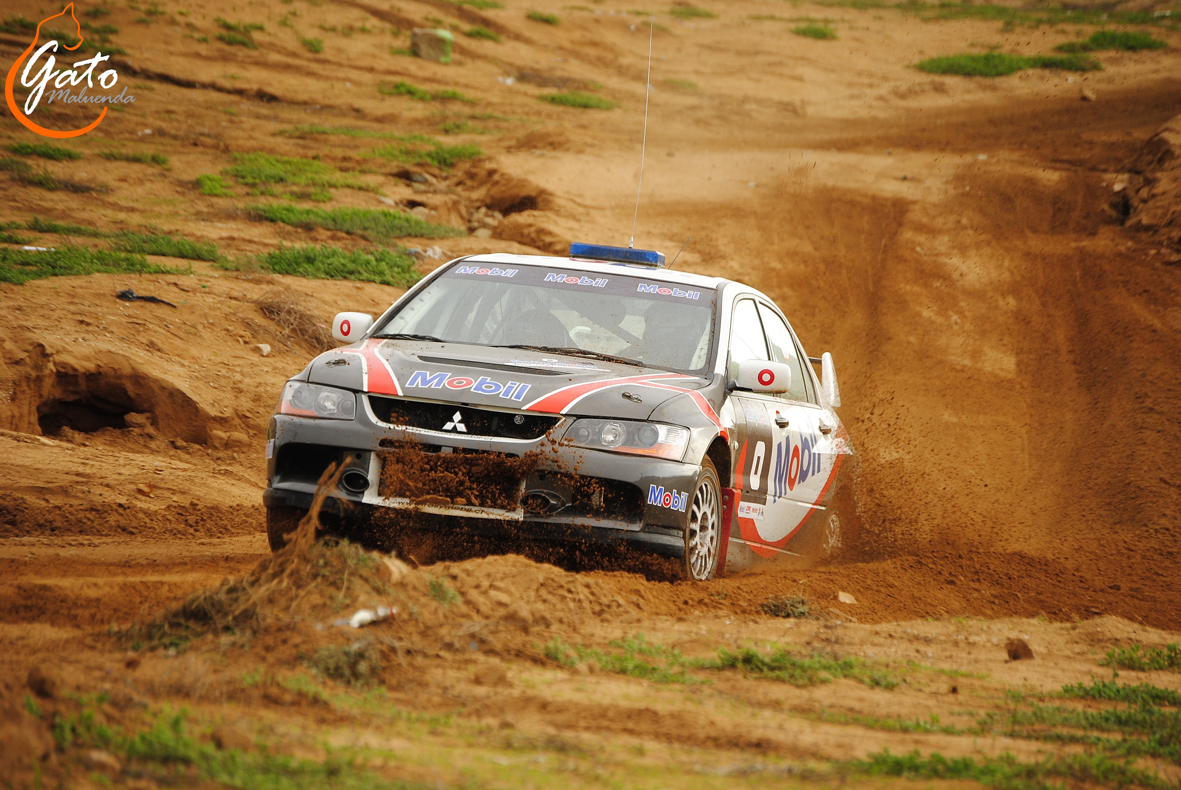 2011 La Serena