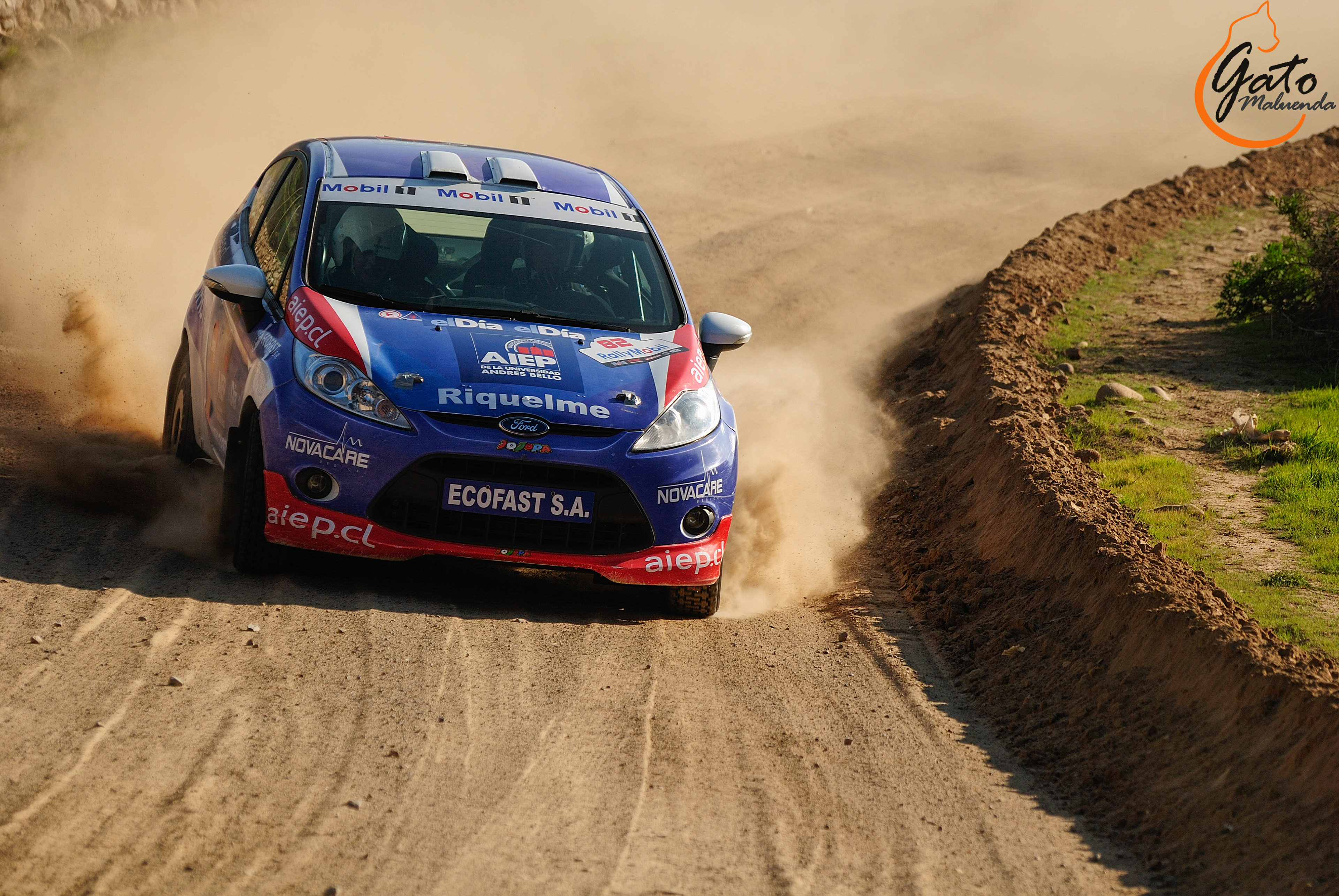 2014 La Serena